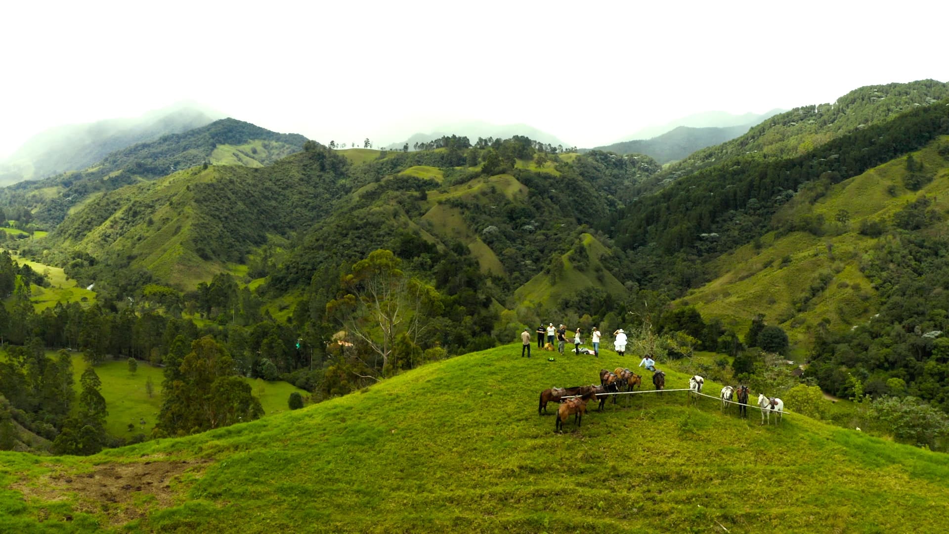 Cocora Valley, Colombia