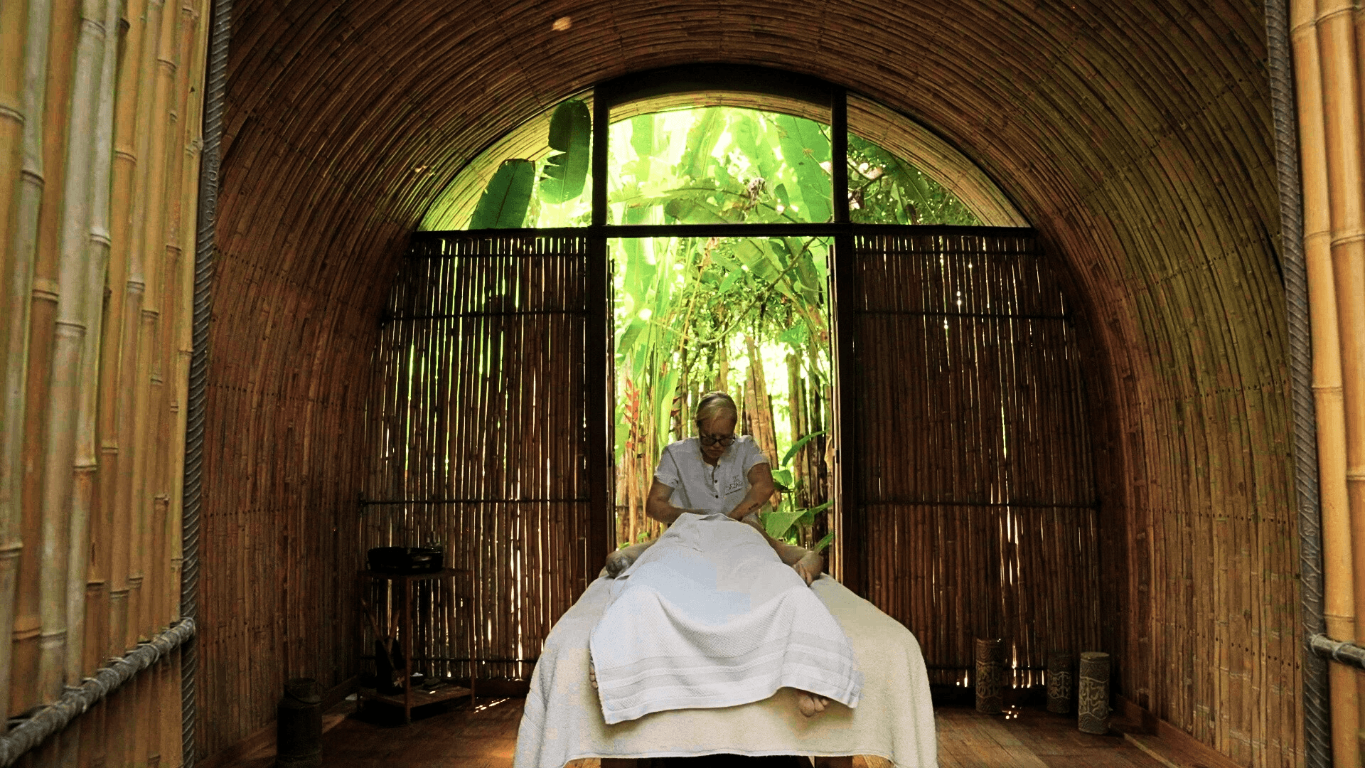 MSC Stem Cell Retreat massage therapy